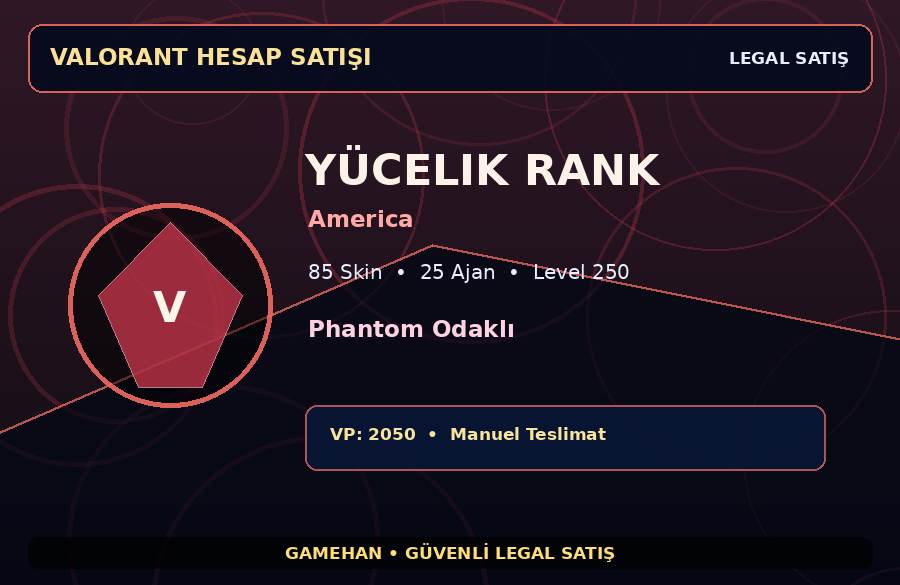 85 Skinli Yücelik Valorant Hesabı | America | 25 Ajan