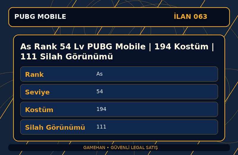 As Rank 54 Lv PUBG Mobile | 194 Kostüm | 111 Silah Görünümü